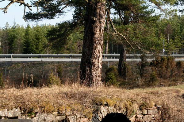 Ullebotallen