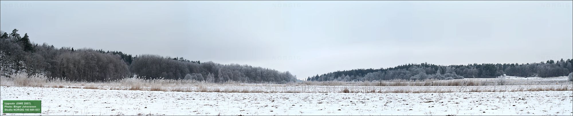 VIntervy i Hågadalen