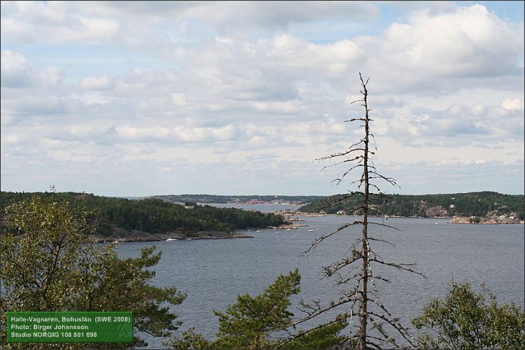 Utsikt över havet