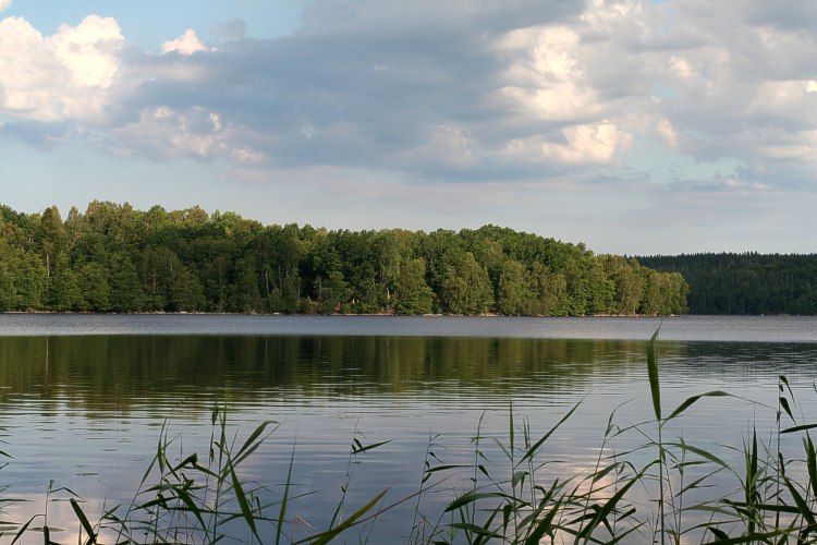 Mollungens naturreservat vid Sandsken